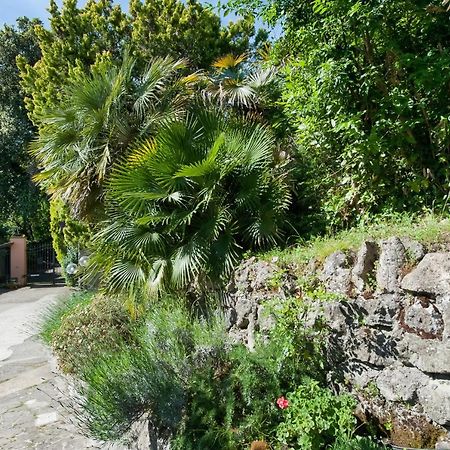 Villalbert Castel Gandolfo Dış mekan fotoğraf